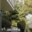  Annonces LYON 6EME : Apartment | CALUIRE-ET-CUIRE (69300) | 92 m2 | 516 850 € 